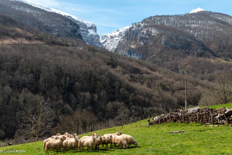 Le canyon d’Ehujarre, en Haute‑Soule