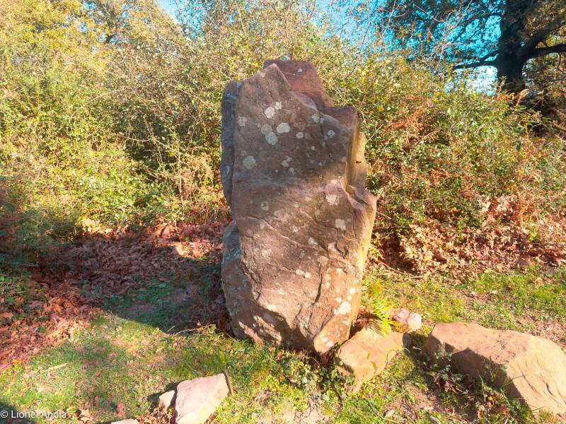 Les gravures mystérieuses d’Ibardin