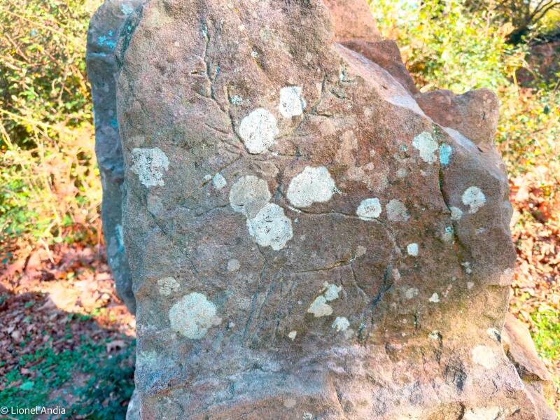 Les gravures mystérieuses d’Ibardin