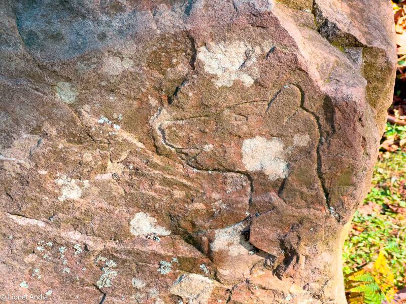 Les gravures mystérieuses d’Ibardin