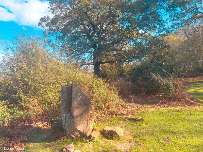 Les gravures mystérieuses d’Ibardin