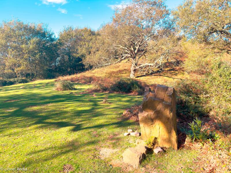 Les gravures mystérieuses d’Ibardin