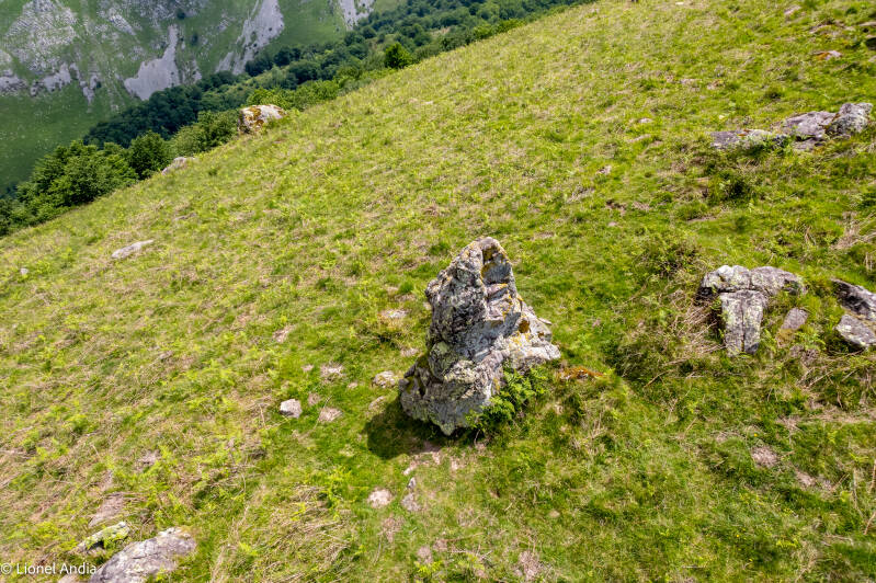 Le menhir d'Armiague 