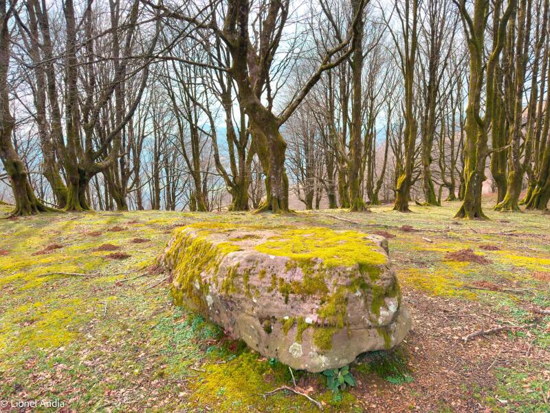 Le menhir d’Eihartzeko Munoa