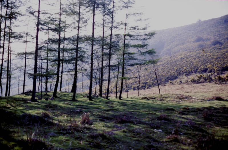 Le col de Pittare avant les fouilles