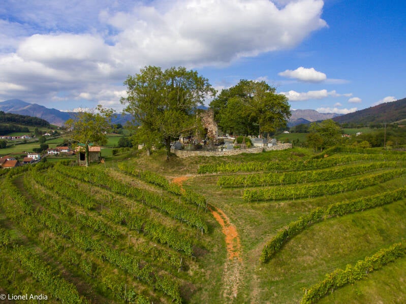 Le prieuré et le vignes d'Irouléguy