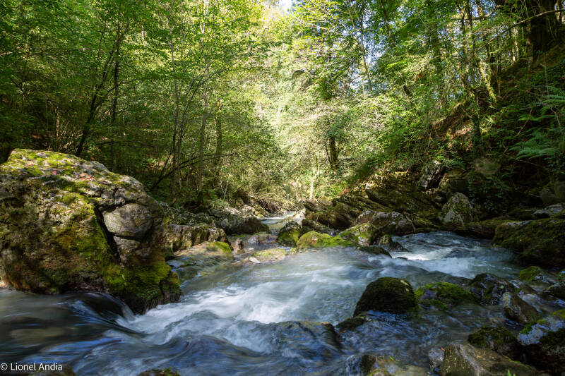 Les Sources de la Nive à Esterençubie quartier Béhérobie