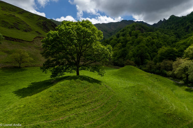 Les tertres d’Hurlastère : énigmes du pastoralisme ancien