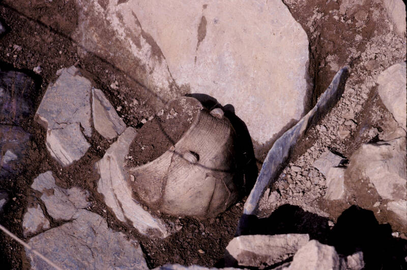 L’urne funéraire d'Urdanarre est mise au jour