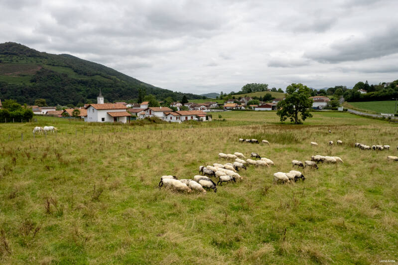 Le village d'Ascarat - Azkarate