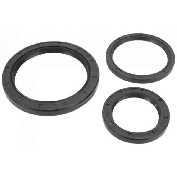 Differentieel afdichtingen set Yamaha YFM 250 Bruin