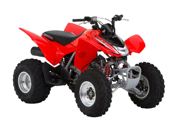 Onderdelen Honda TRX 250 X
