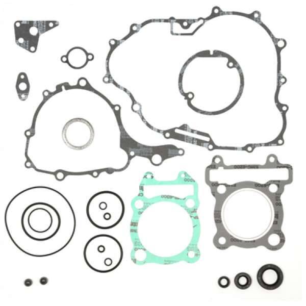 Compleet pakking set Yamaha YFM 250 Raptor