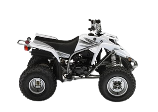 Onderdelen Yamaha YFS 200 Blaster