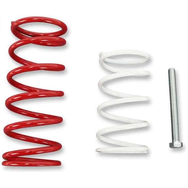Koppeling set Can-Am Renegade 800