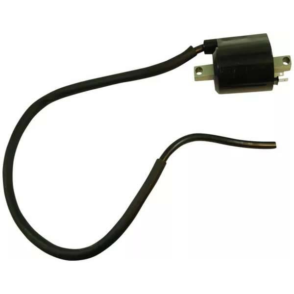 Bobine Yamaha YFM 450 Wolverine