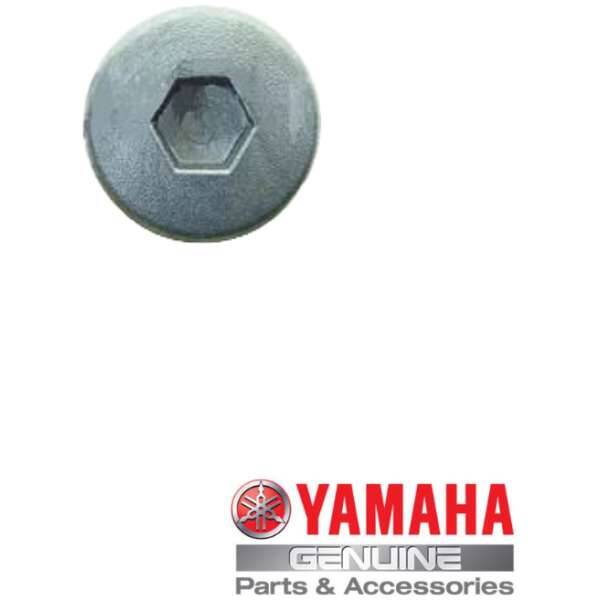 Carter plug Yamaha YFM 700 Raptor