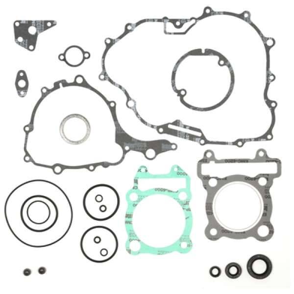 Compleet pakking set Yamaha YFM 250 Raptor