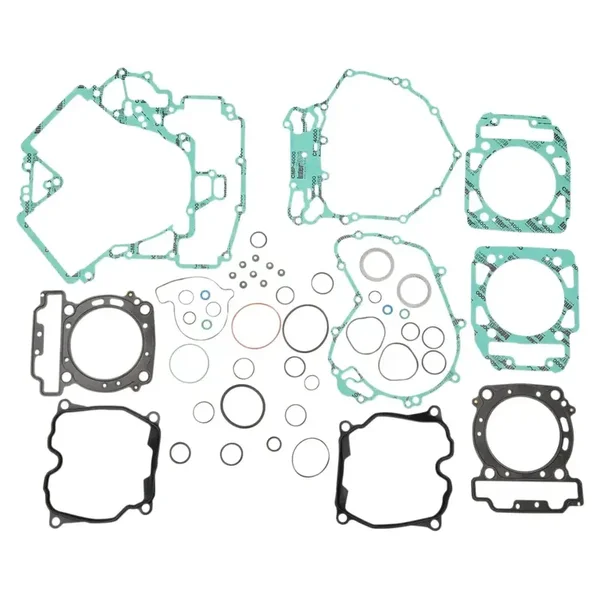 Complete pakking set Can Am Renegade 1000 R