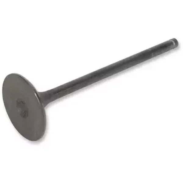 Stalen inlaat klep Honda TRX 400 X