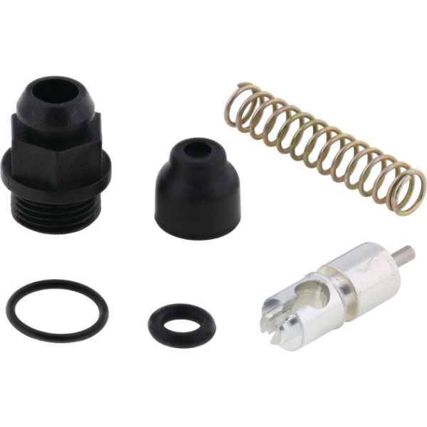 Choke revisie set Yamaha YFM 250 Bruin