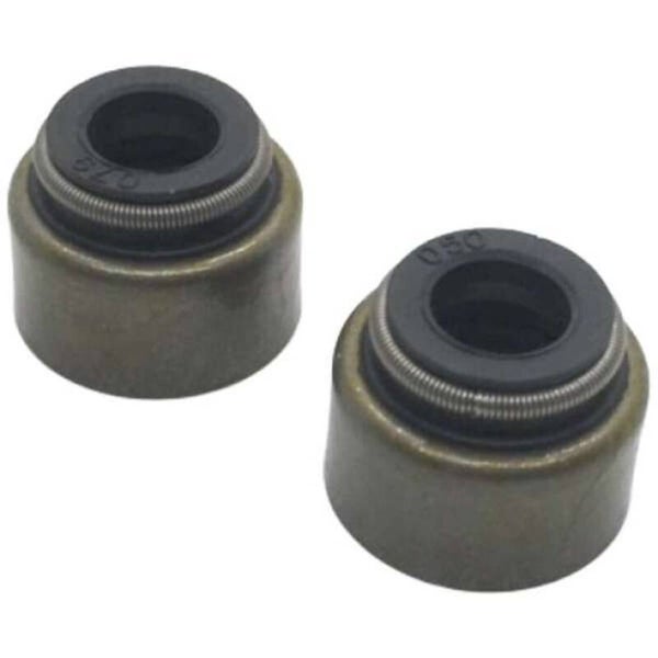 Klepseals set Yamaha YFM 350 Raptor