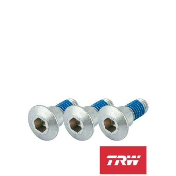 Remschijf bouten set Suzuki LT-R 450 Quadracer