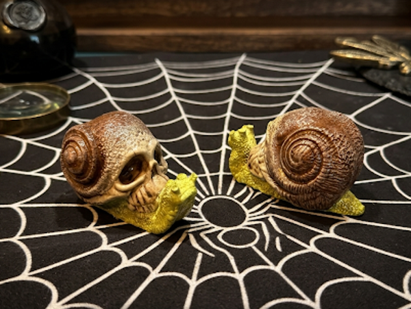 🐌 Mortis, die Schädelschnecke – Morbide Naturdeko aus Gips