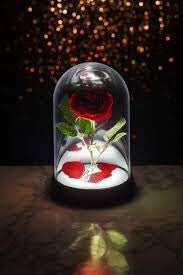 BELLE & LA BETE - Lampe - Rose Enchantee
