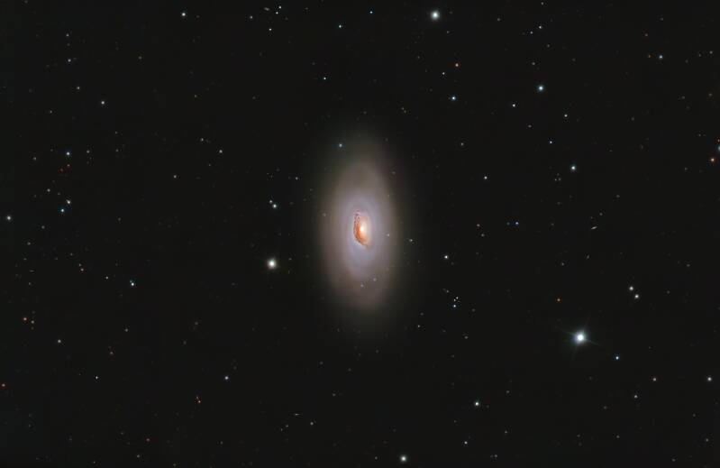 m64-mare-standard-ddc8y5.jpg
