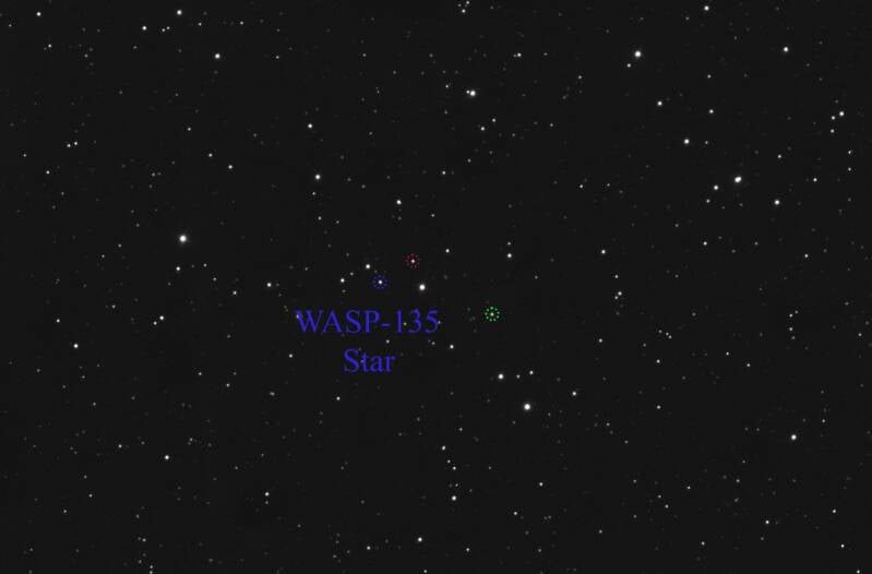 wasp-135-standard.jpg