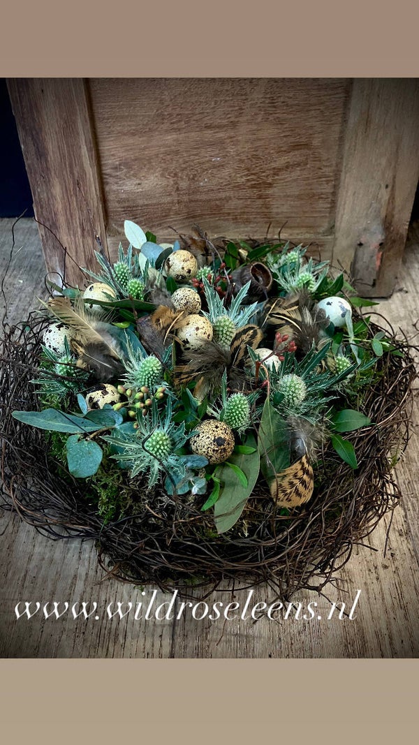 voorjaars nestje wit