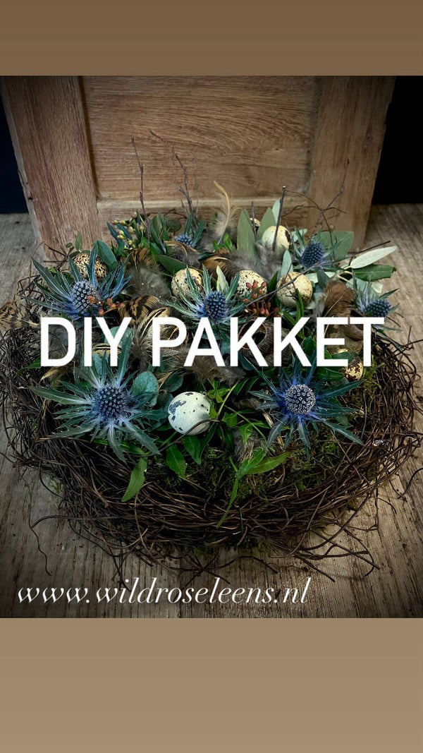 doe het zelf pakket voorjaarsnest blauw
