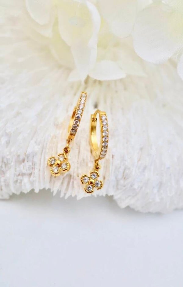 ✨️ Boucle d'oreille Manuela✨️