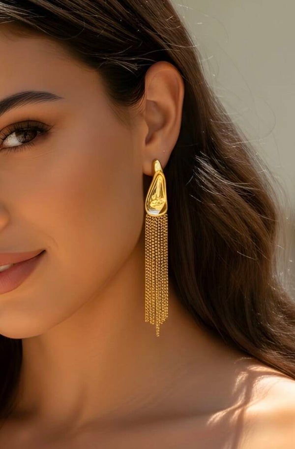 ✨️ Boucle d'oreille longue✨️