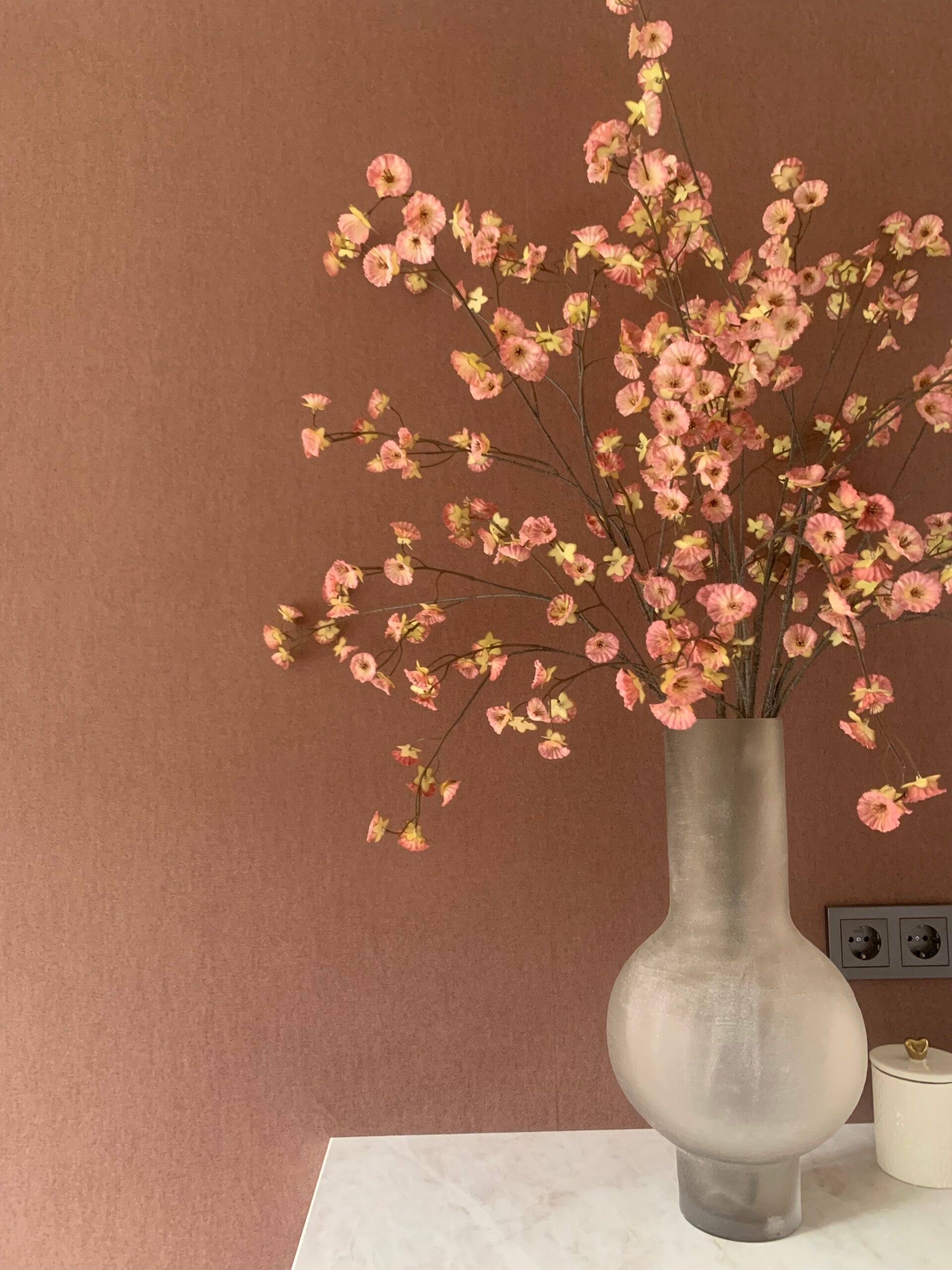 Cornus