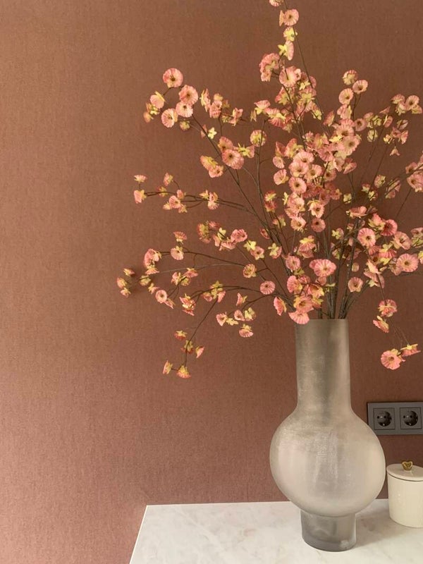 Cornus