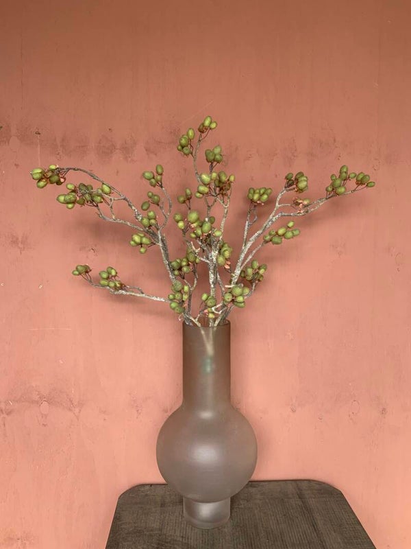 Alnus grande