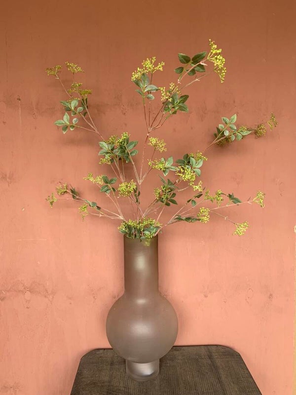 Spirea groen