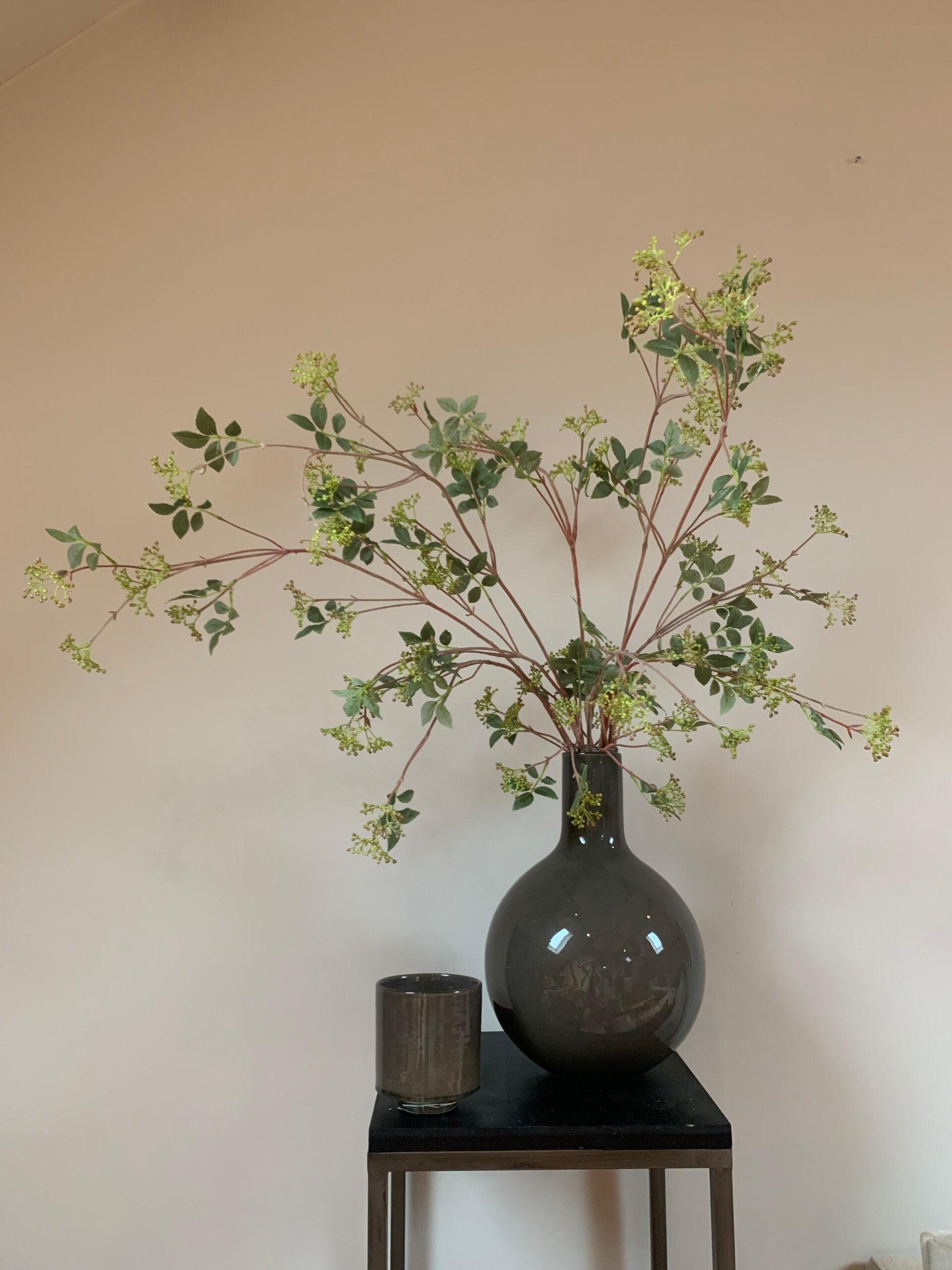 Spirea groen