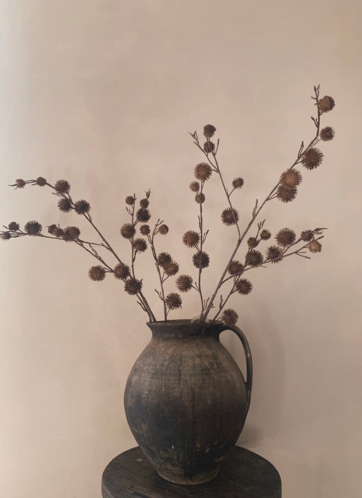 Chestnut spray bruin