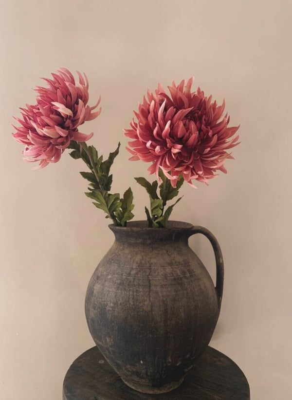 Chrysant roze