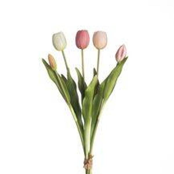 Tulpen mix Roze
