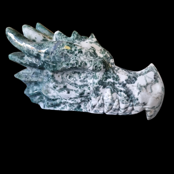 mosagaat draak xl 15cm