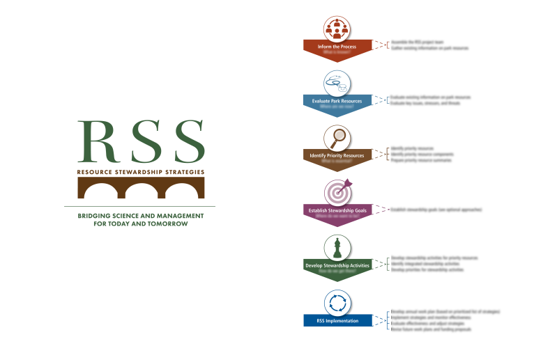 rss_logoandflowchart-standard.png
