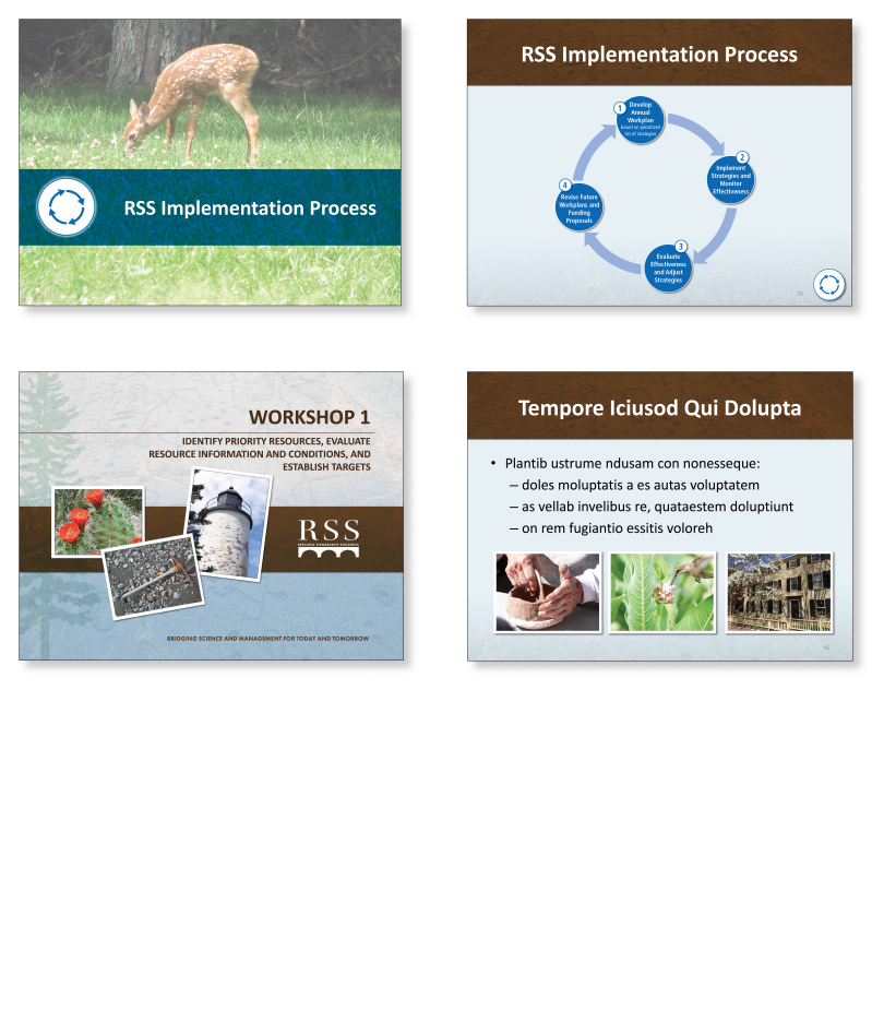 rss_presentation2-standard.png