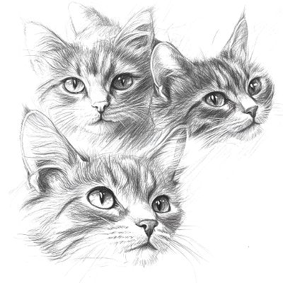 Digital art of cats