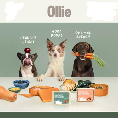 DOG FOOD What Where to Buy Shadymist Kennel LLC