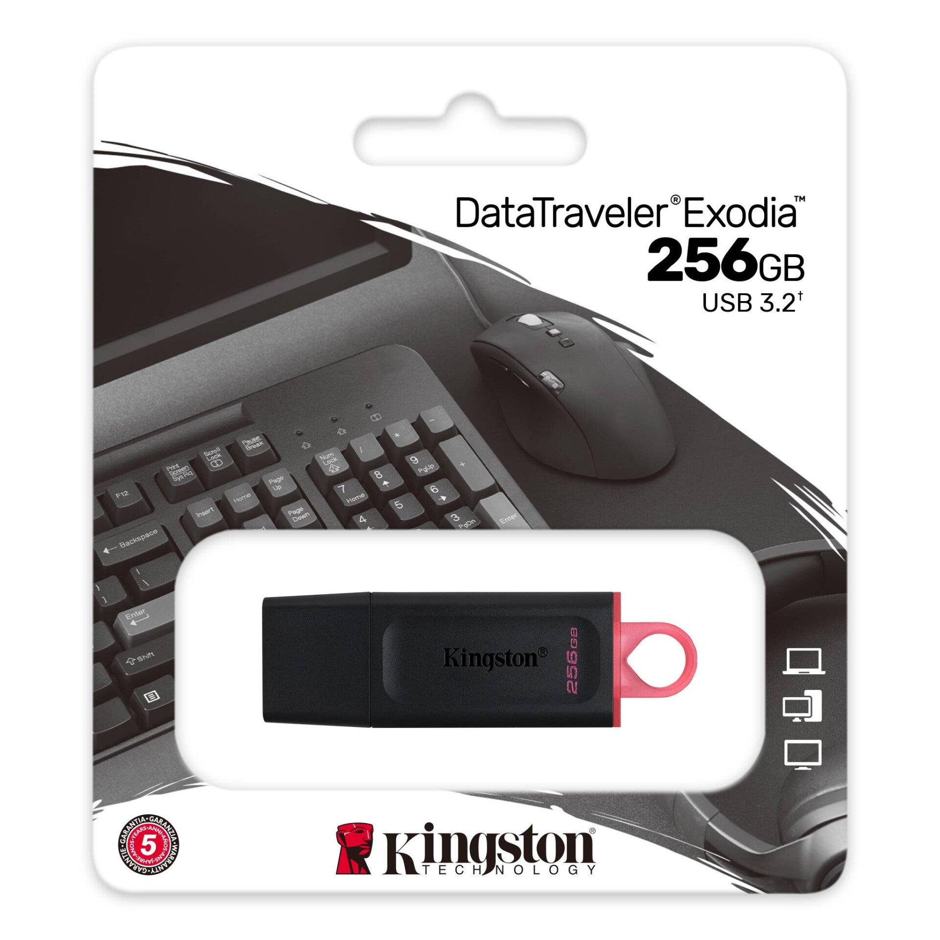 Kingston USB stick 256GB USB3.2