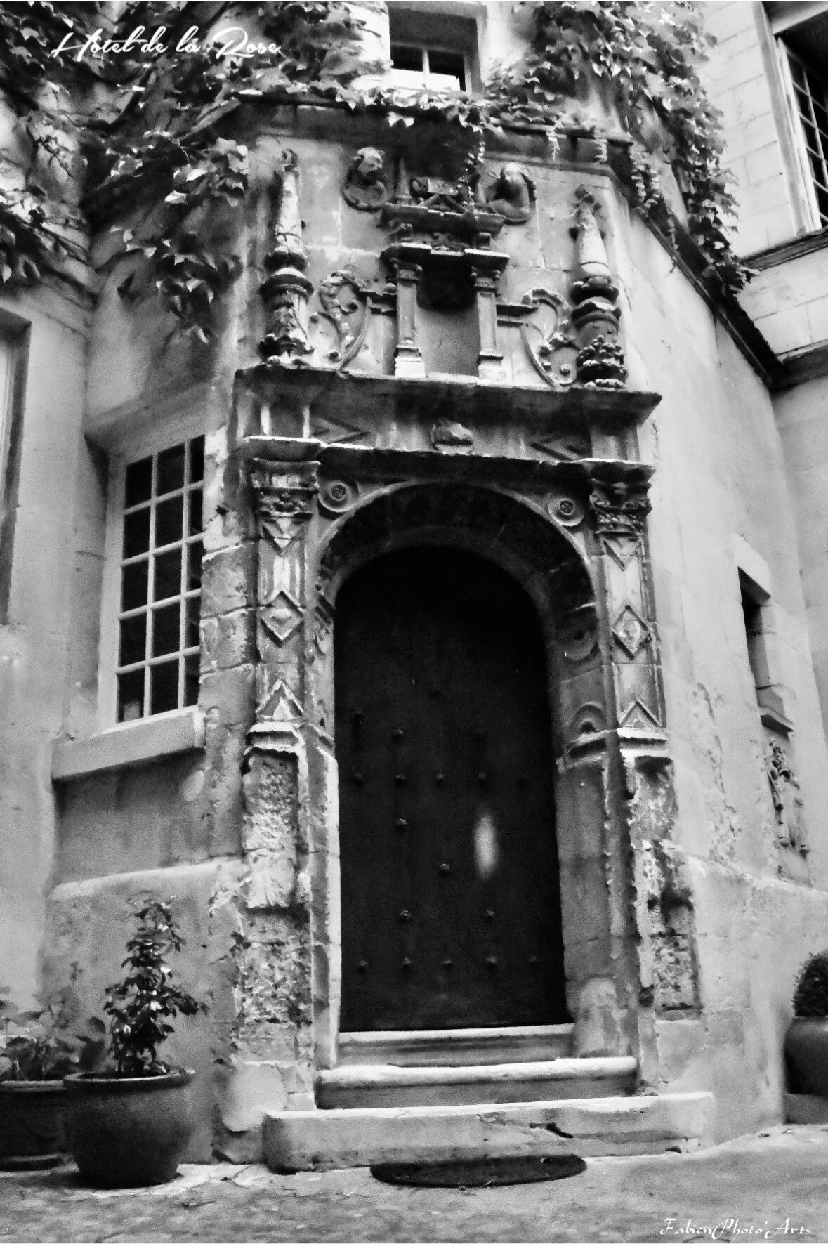 HOTEL DE LA ROSE